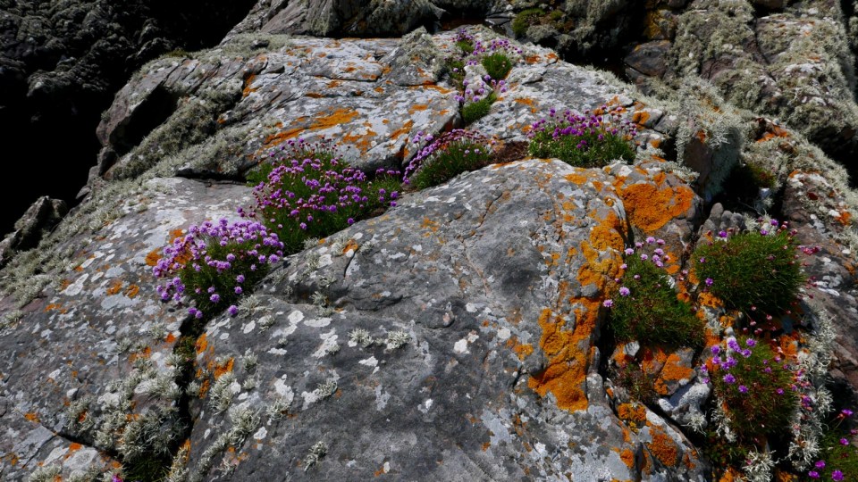 Sgeir an Aon Iomairt