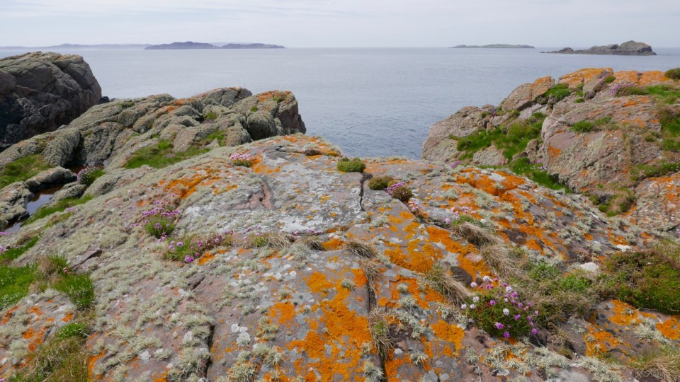 Sgeir an Aon Iomairt