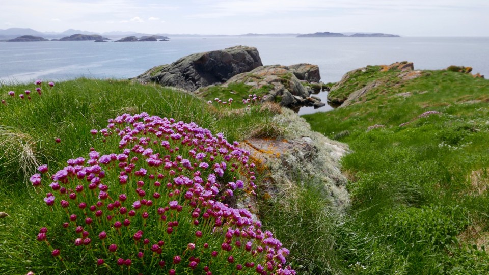 Sgeir an Aon Iomairt